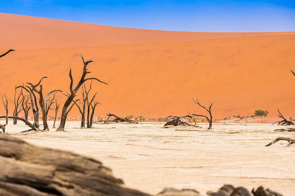 Das Dead Vlei, weltweit bekannte Sehenswürdigkeit im südlichen Namibia